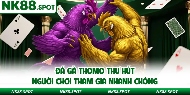 Đá gà Thomo thu hút người chơi tham gia nhanh chóng 